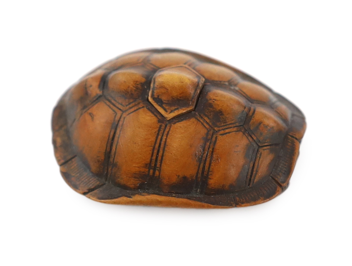 A Japanese carved wood netsuke of a turtle shell, mid 19th century